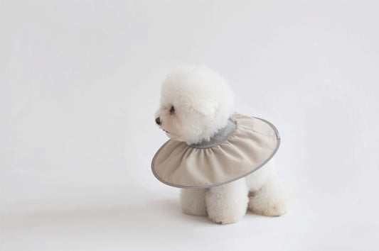Pet in Beauty comfy Pet Cone for Post-Surgery Healing and Safety