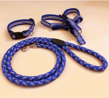 Pet dog leash