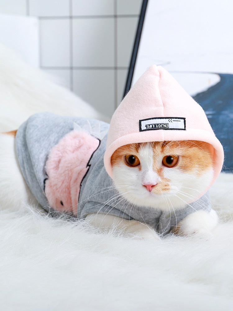 Pet cat clothes